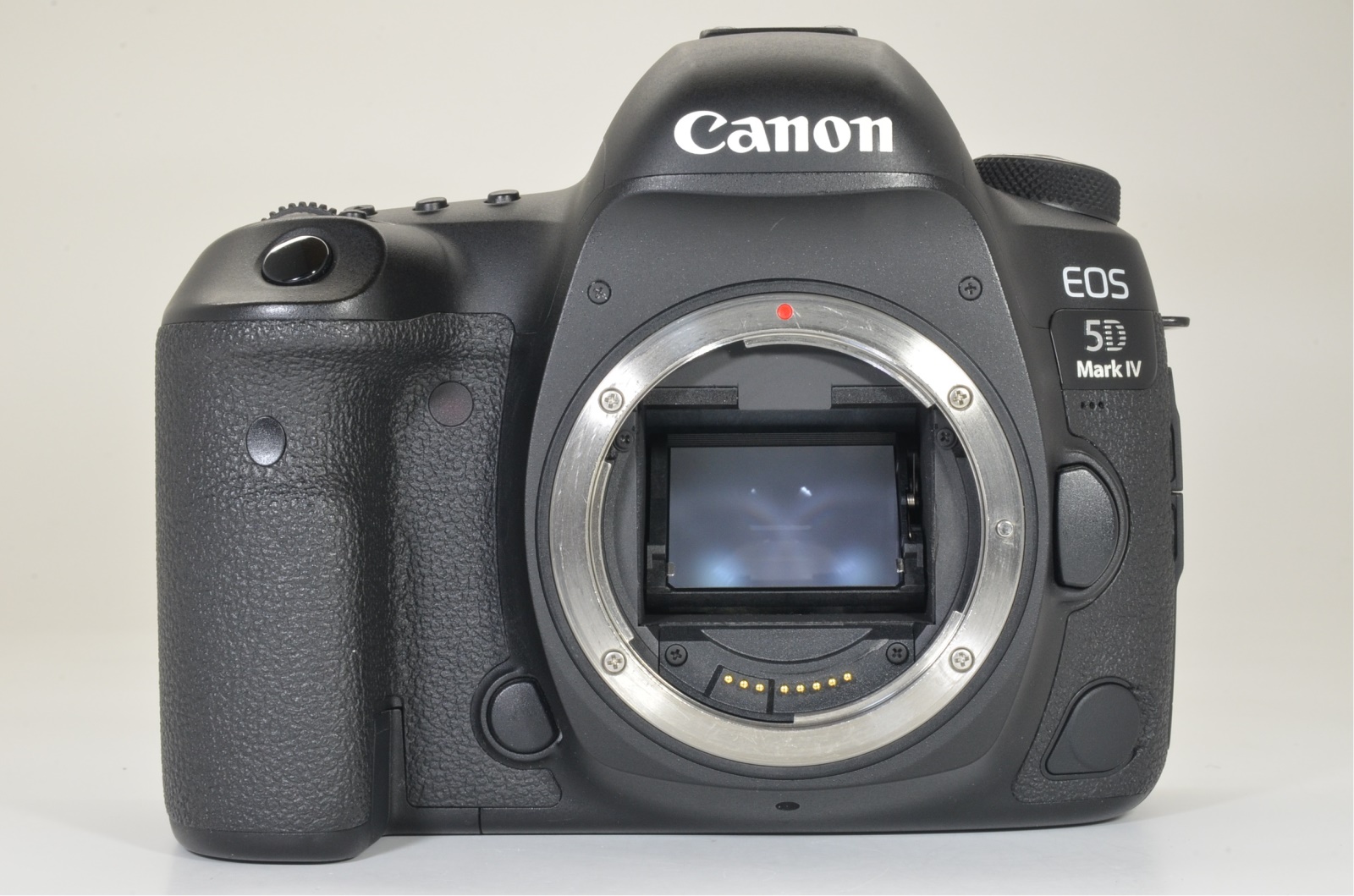 canon eos 5d mark 4 iv 30.4mp digital slr camera from japan shooting tested